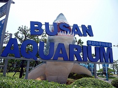 Городской аквариум Пусана 